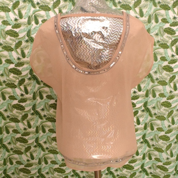 DECREE Light Pink Chiffon Sheer Sequins Rose Top | Size S - Picture 3 of 4